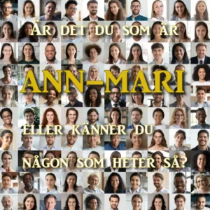 ann-mari.se