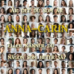 anna-carin.se