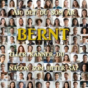 bernt.se