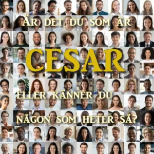cesar.se