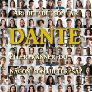 dante.se