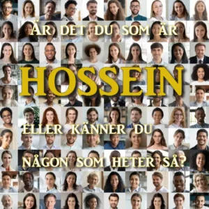 hossein.se