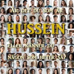 hussein.se