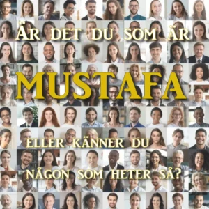 mustafa.se