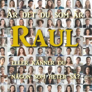 raul.se