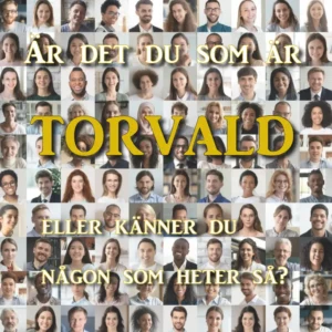 torvald.se